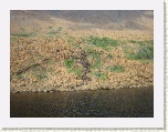 Shore - Trout River * 2592 x 1944 * (2.25MB)